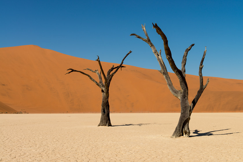 DSC 3451 
 Keywords: Africa, Deadvlei, Namib desert, Namib-Naukluft National Park, Namibia, Sossuvlei, South West Africa, dunes, landscapes, sand, sand dunes, travel