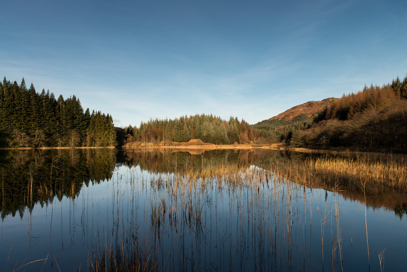 DSC 0367 
 Loch Dhu, Trossachs, winter morning 
 Keywords: Loch Dhu, Scotland, Trossachs, landscapes, lochs, reflections, shore, sunrise, winter